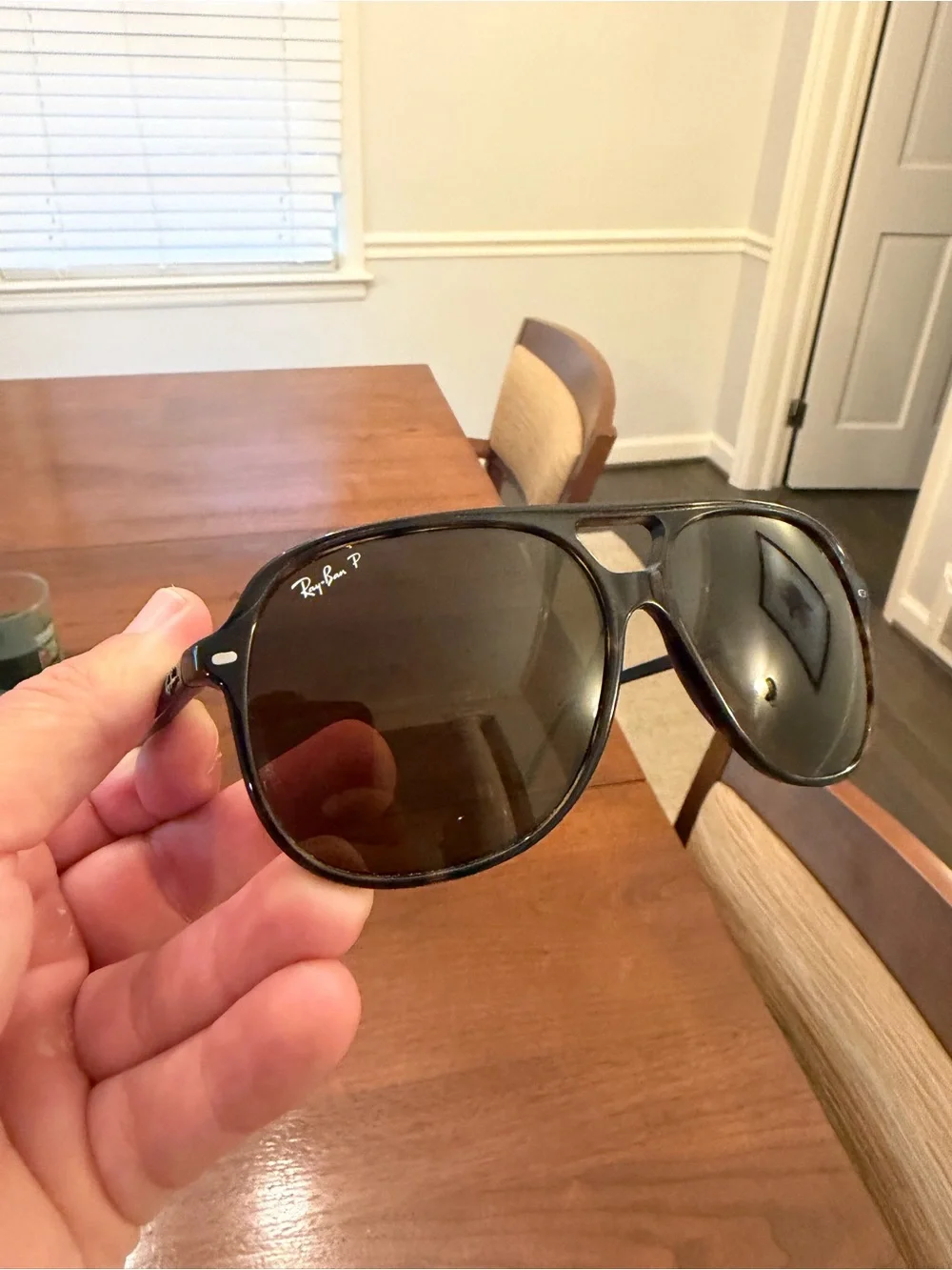 Ray-Ban, Maui Jim, WMP Eyewear Sunglass Lot